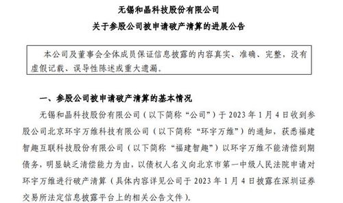 智慧树 被申请破产清算,和晶科技消化转型苦果